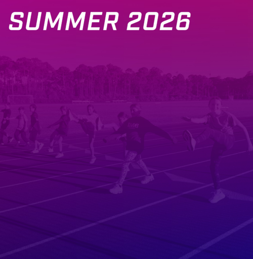 Fundamentals Program - Summer II